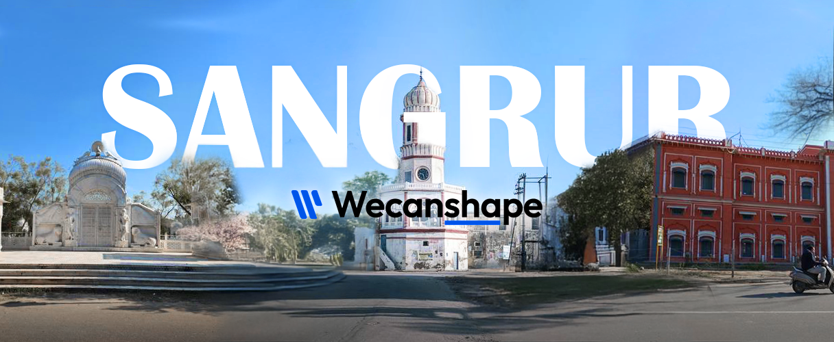 wecanshape sangrur website development image